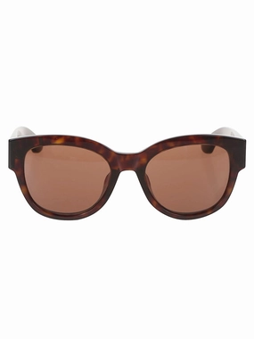 Am0509sa Acetate Sunglasses