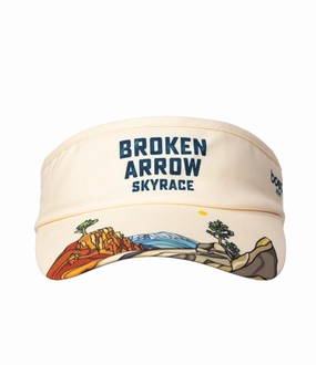 BA 360 Visor