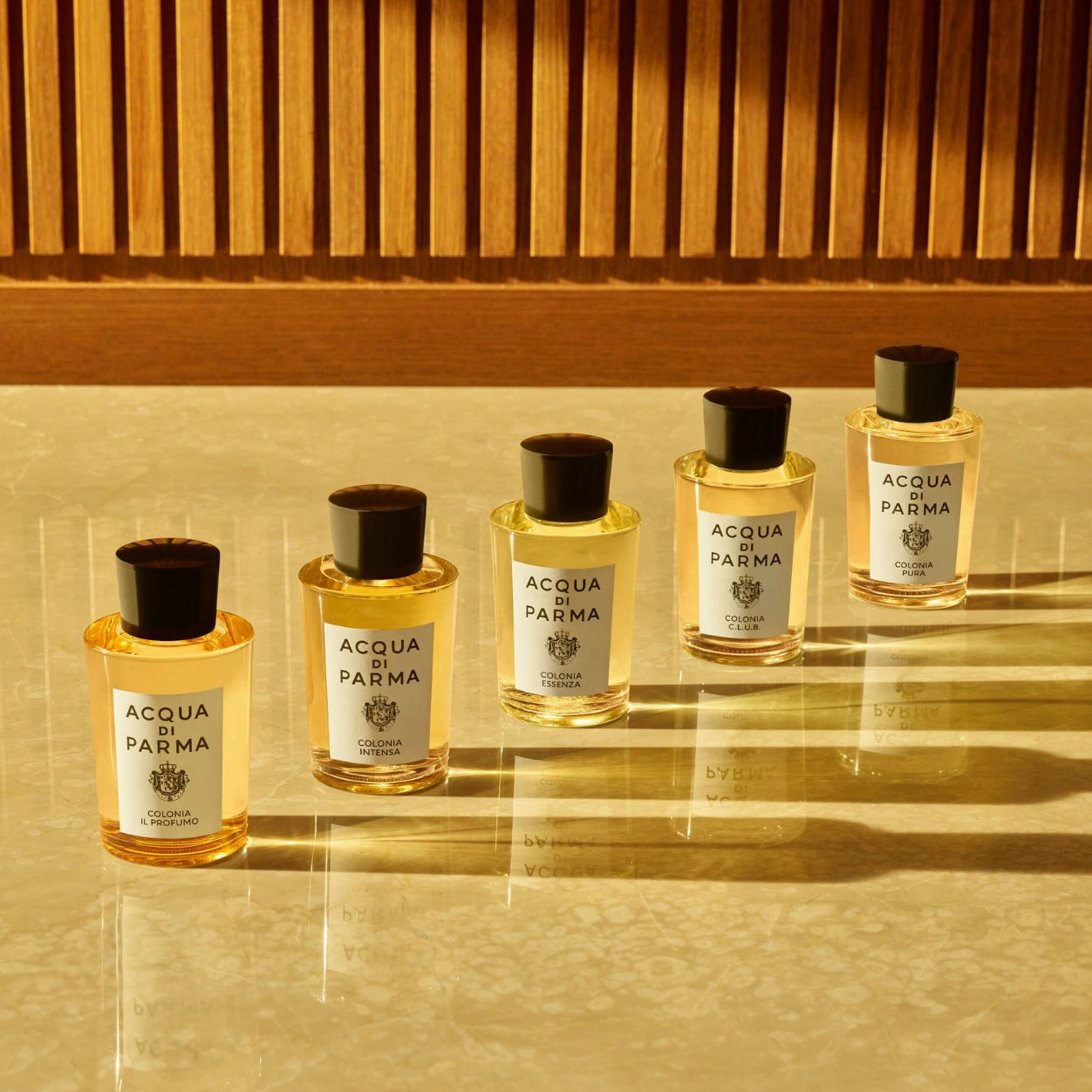 Colonia Il Profumo Eau de Parfum