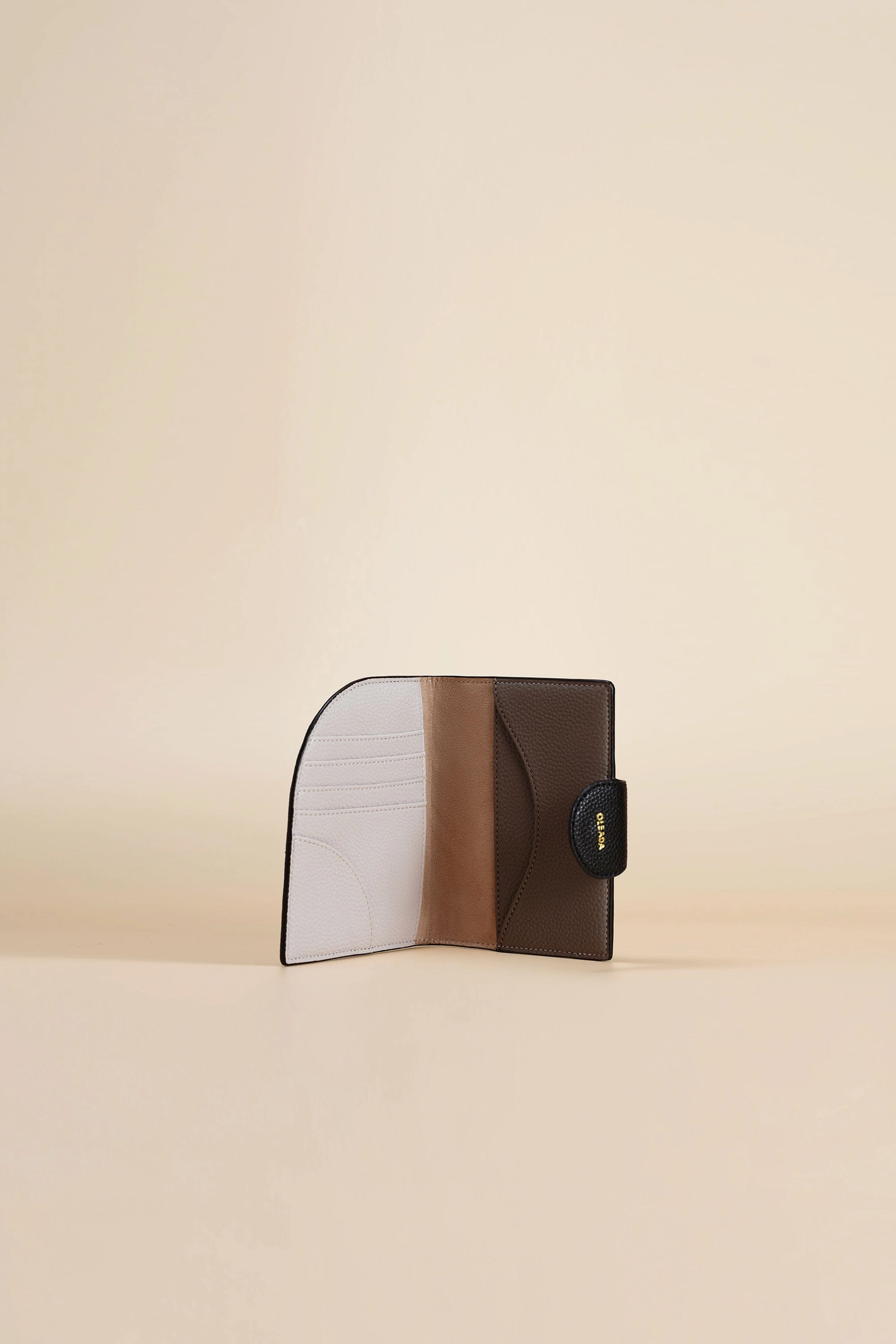 Jet-set Passport Holder