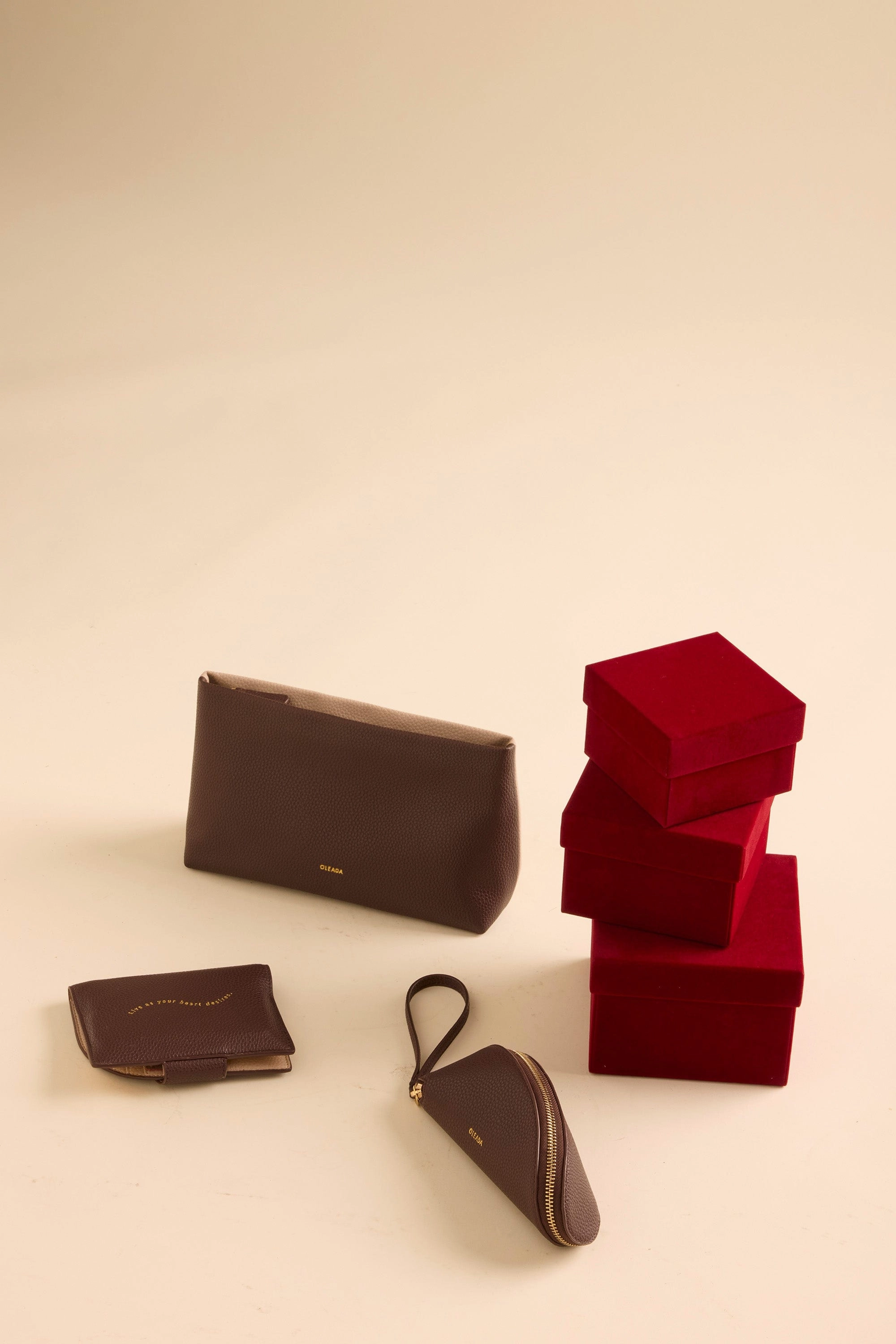 Jet-set Passport Holder