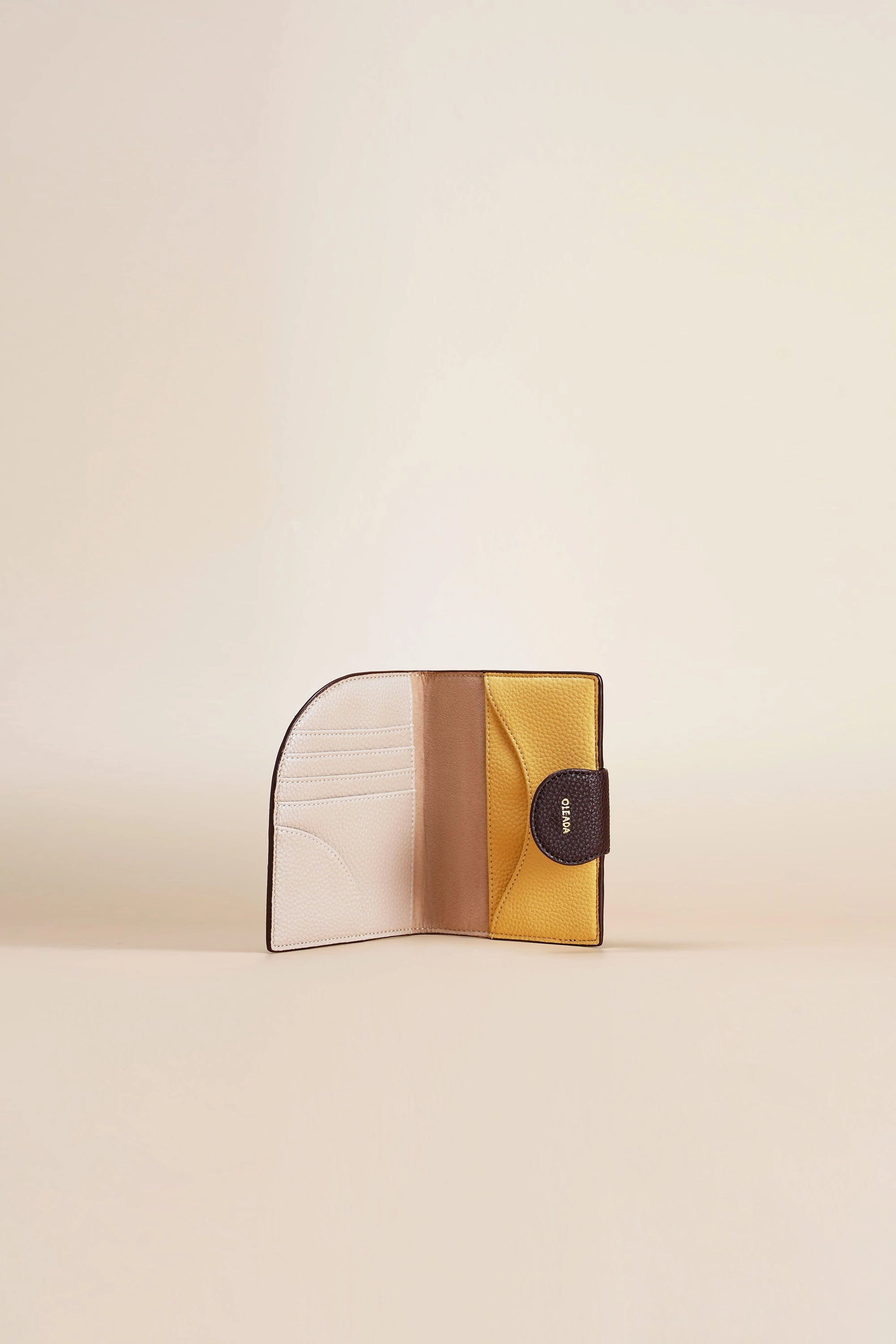 Jet-set Passport Holder