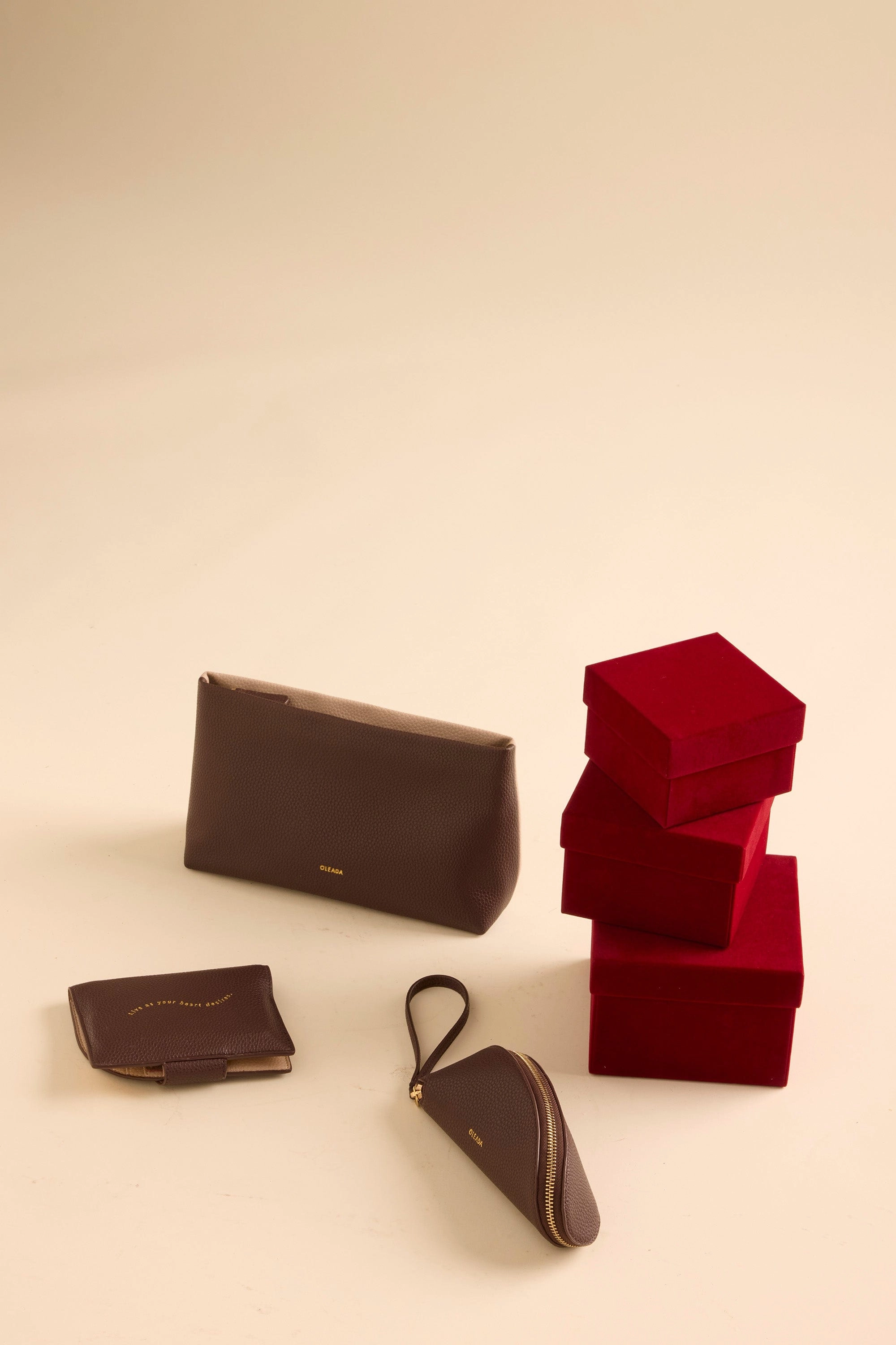 Jet-set Passport Holder