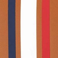Passport Sleeve