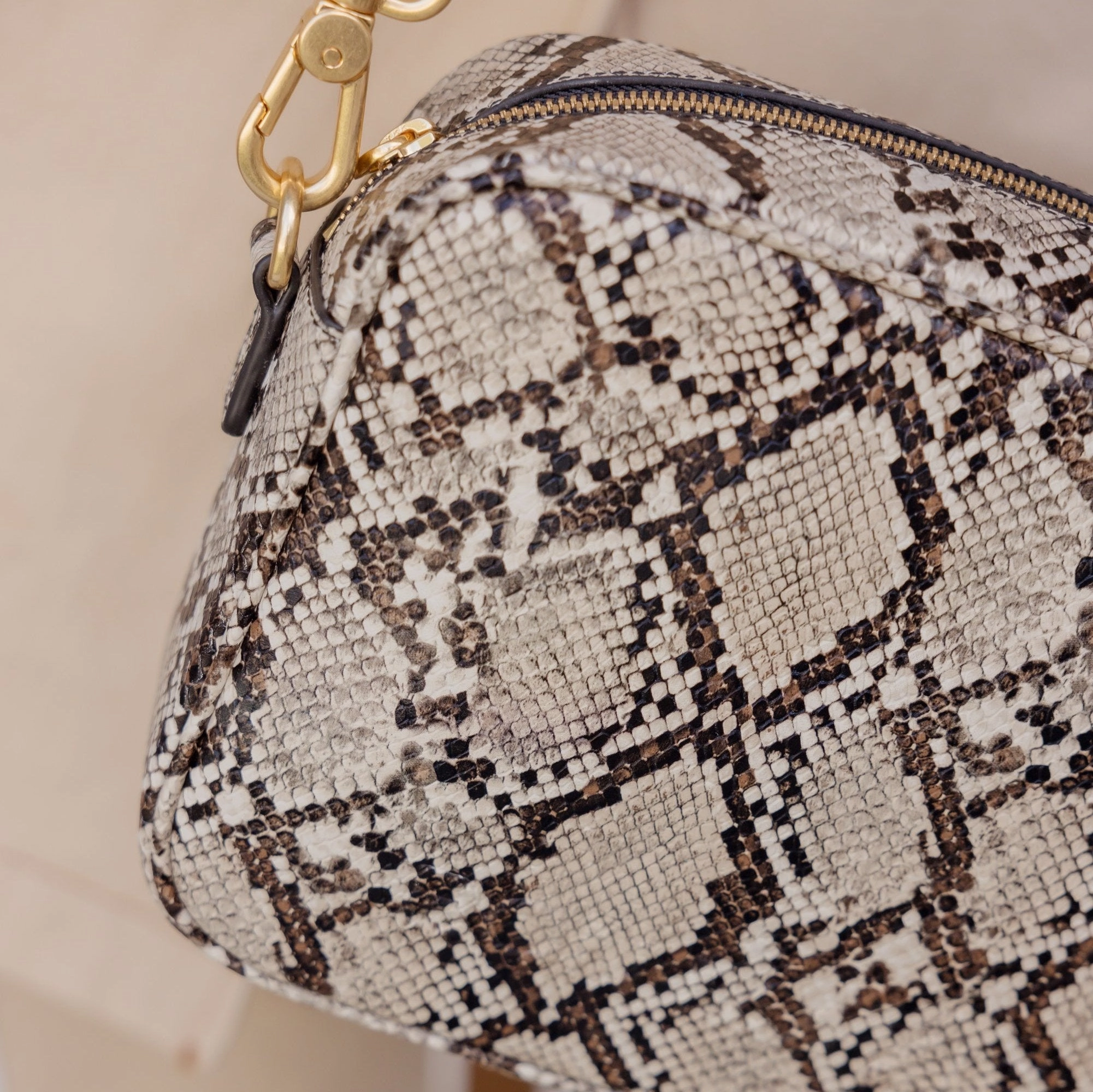 Sidekick Leather Crossbody Bag -- Snake