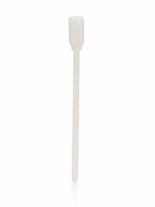 Sponge Brushes (12 Count)