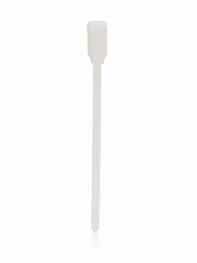 Sponge Brushes (12 Count)