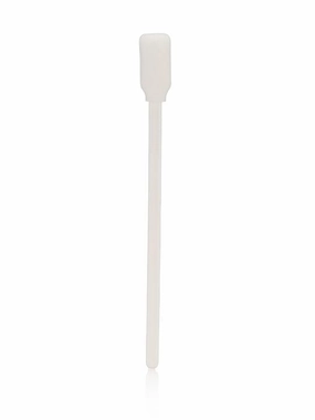 Sponge Brushes (12 Count)