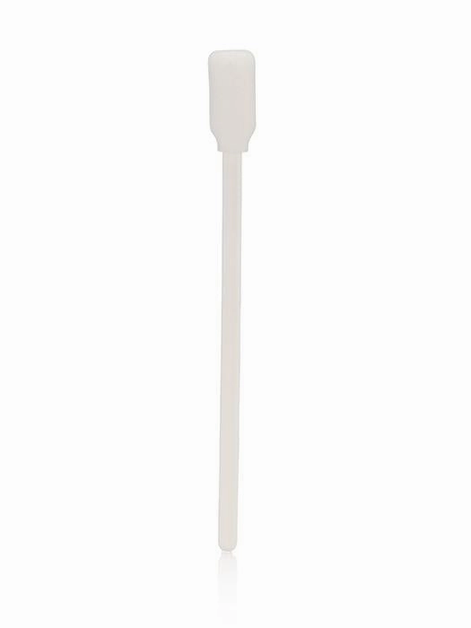 Sponge Brushes (12 Count)